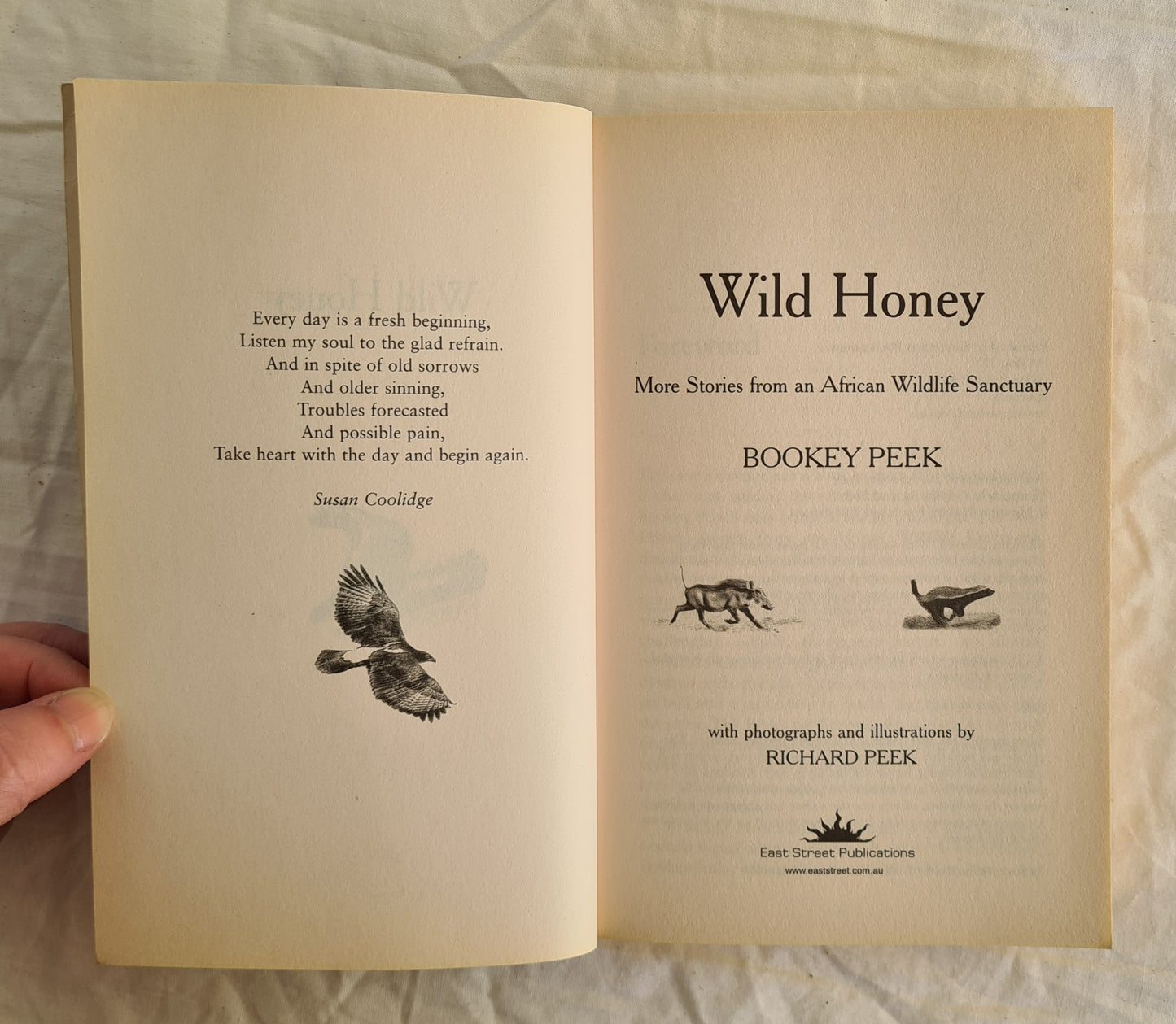Wild Honey by Bookey Peek