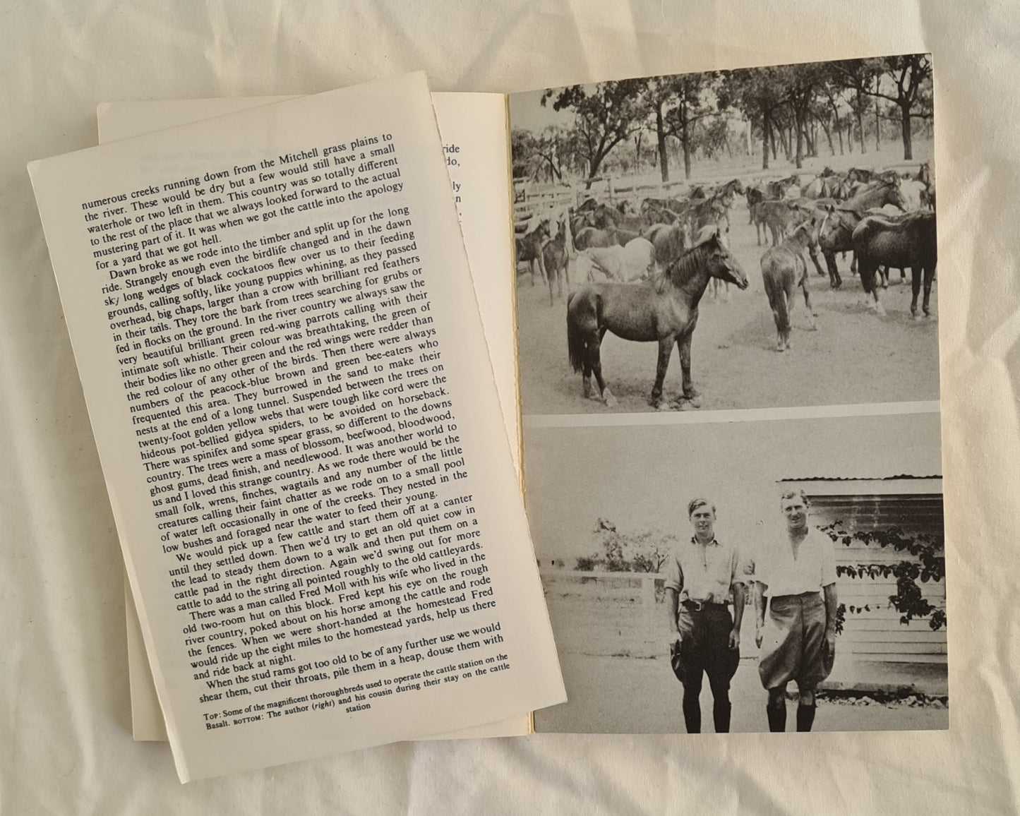 Beyond the Bitumen by W. A. Winter-Irving