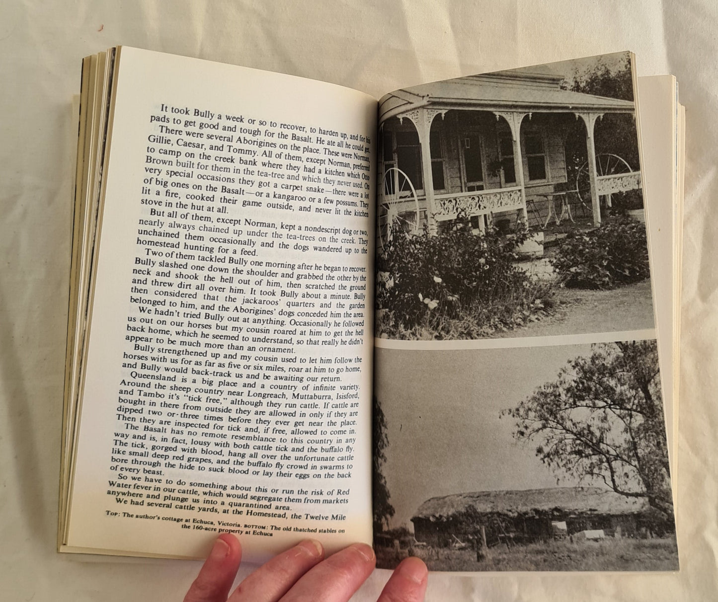 Beyond the Bitumen by W. A. Winter-Irving