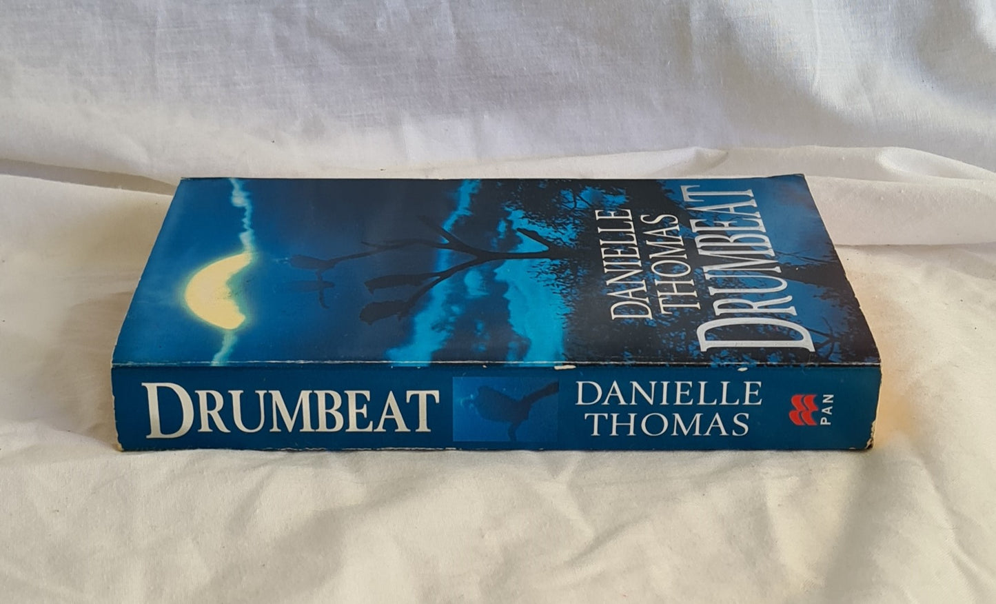 Drumbeat by Danielle Thomas