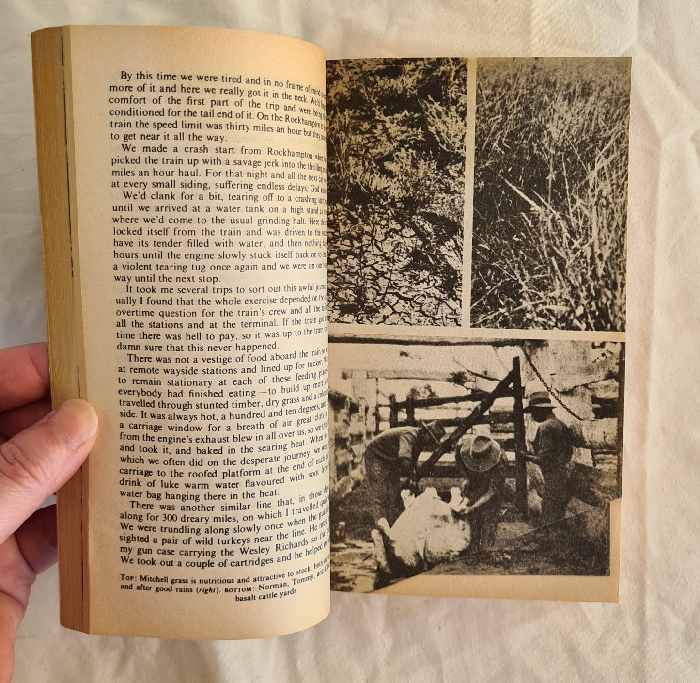 Beyond the Bitumen / Bush Stories by W. A. Winter-Irving