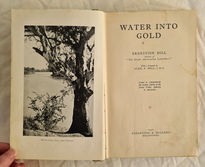 Water into Gold by Ernestine Hill