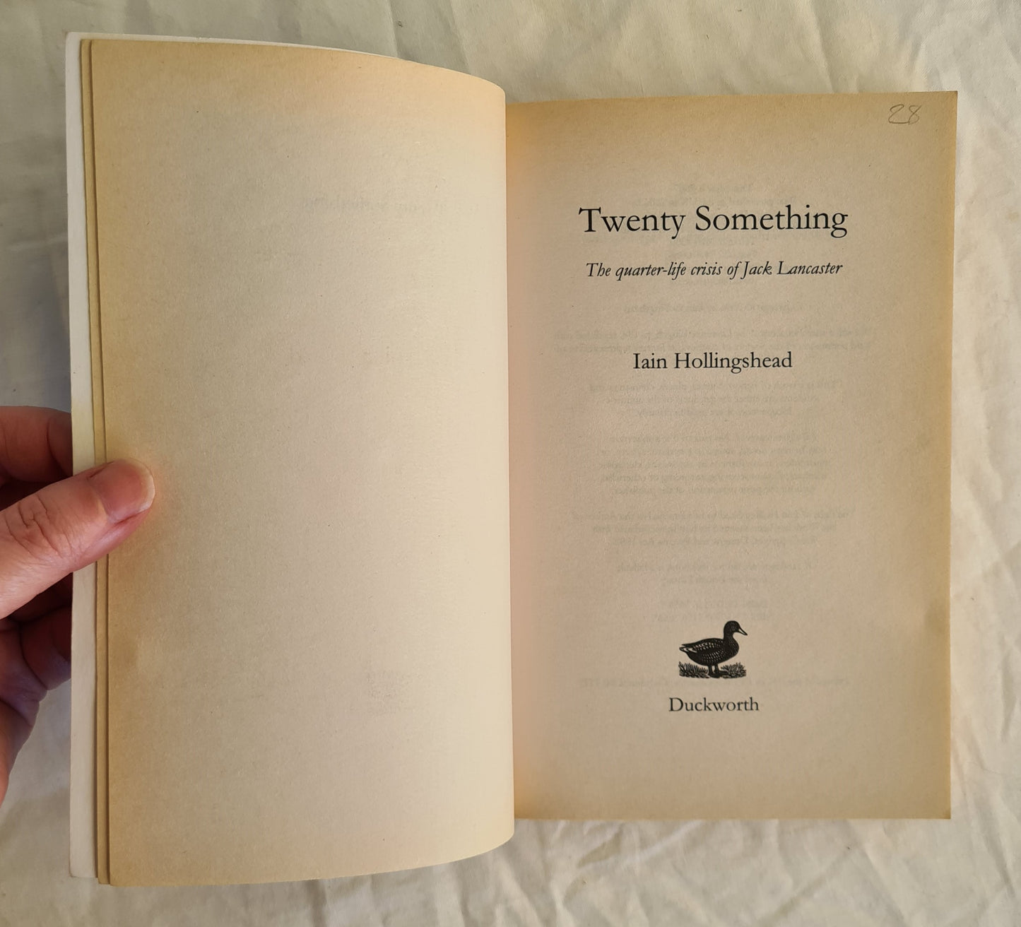 Twenty Something by Iain Hollingshead