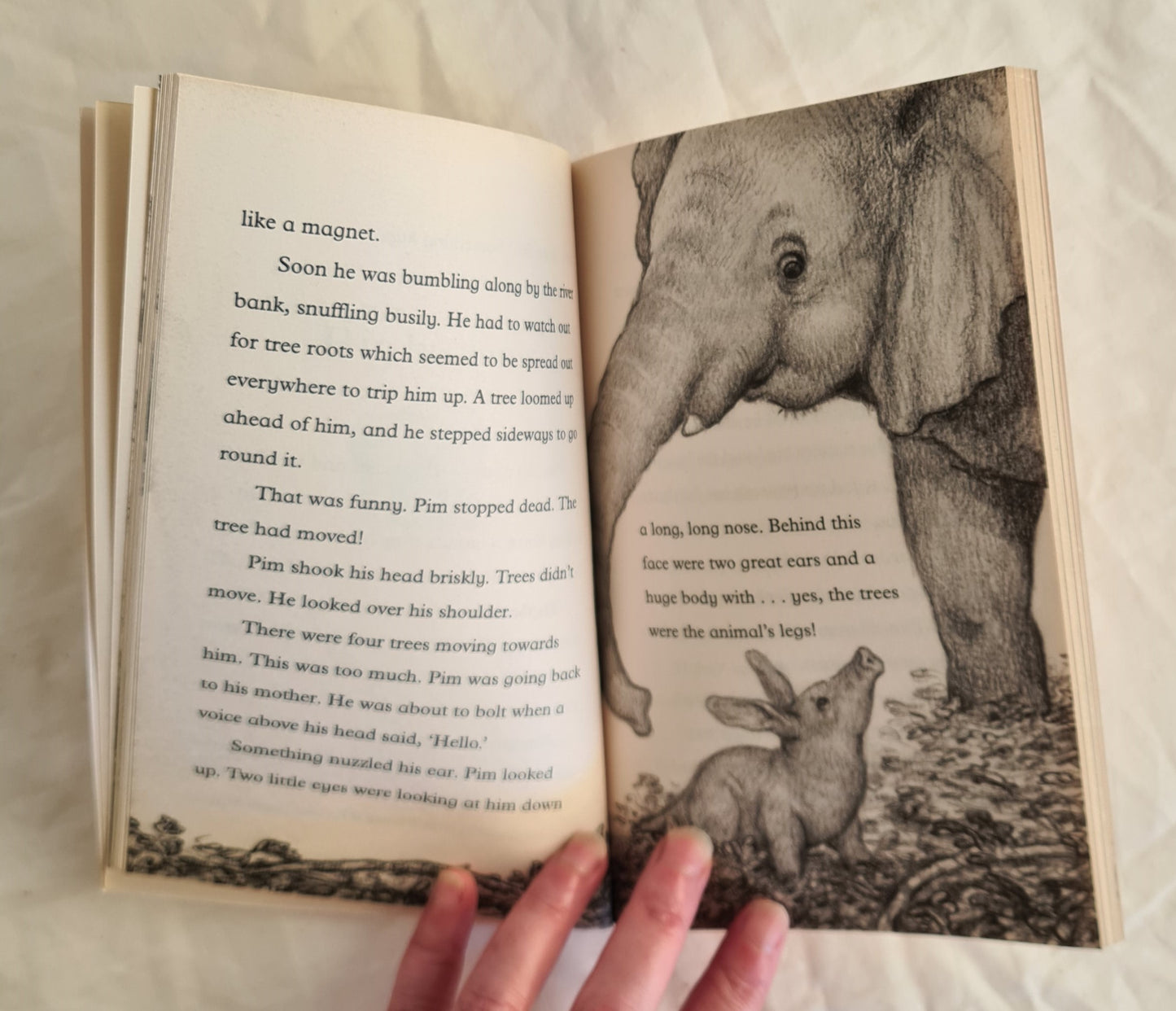The Aardvark Who Wasn’t Sure by Jill Tomlinson