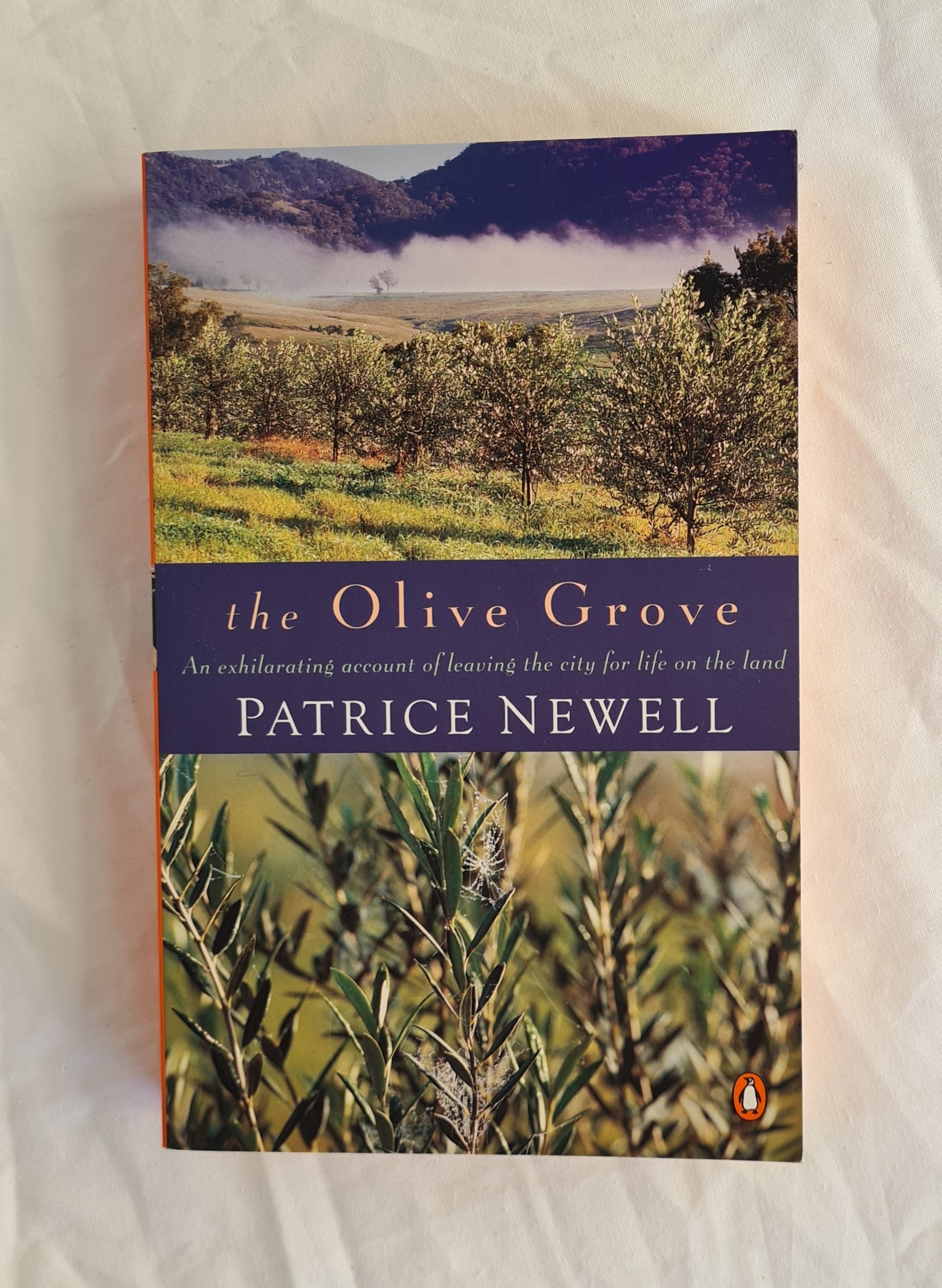 The Olive Grove by Patrice Newell