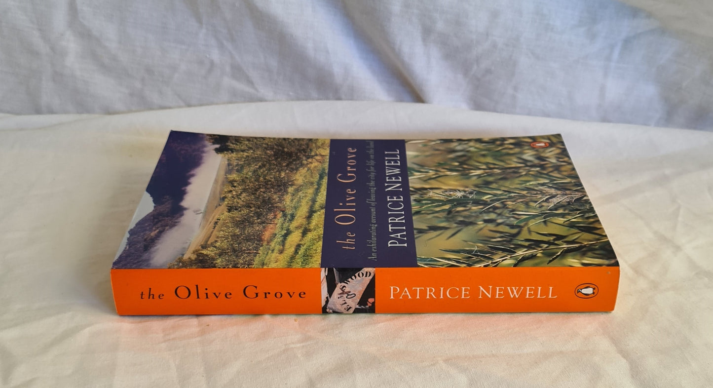 The Olive Grove by Patrice Newell