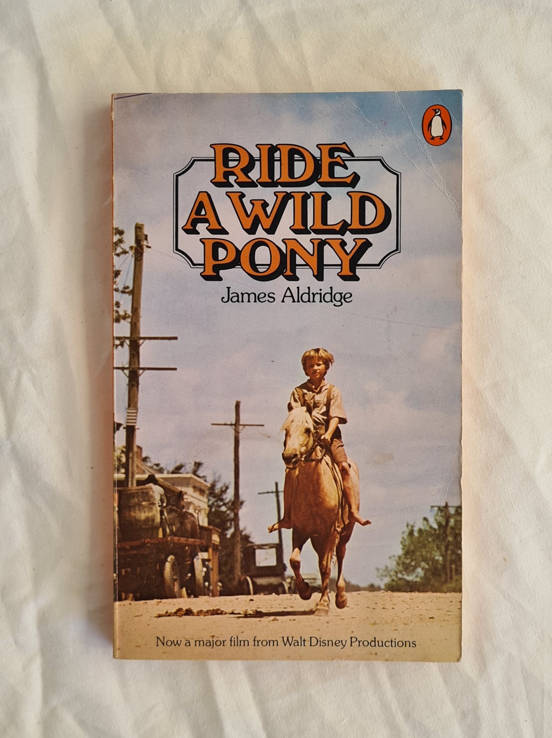 Ride a Wild Pony by James Aldridge