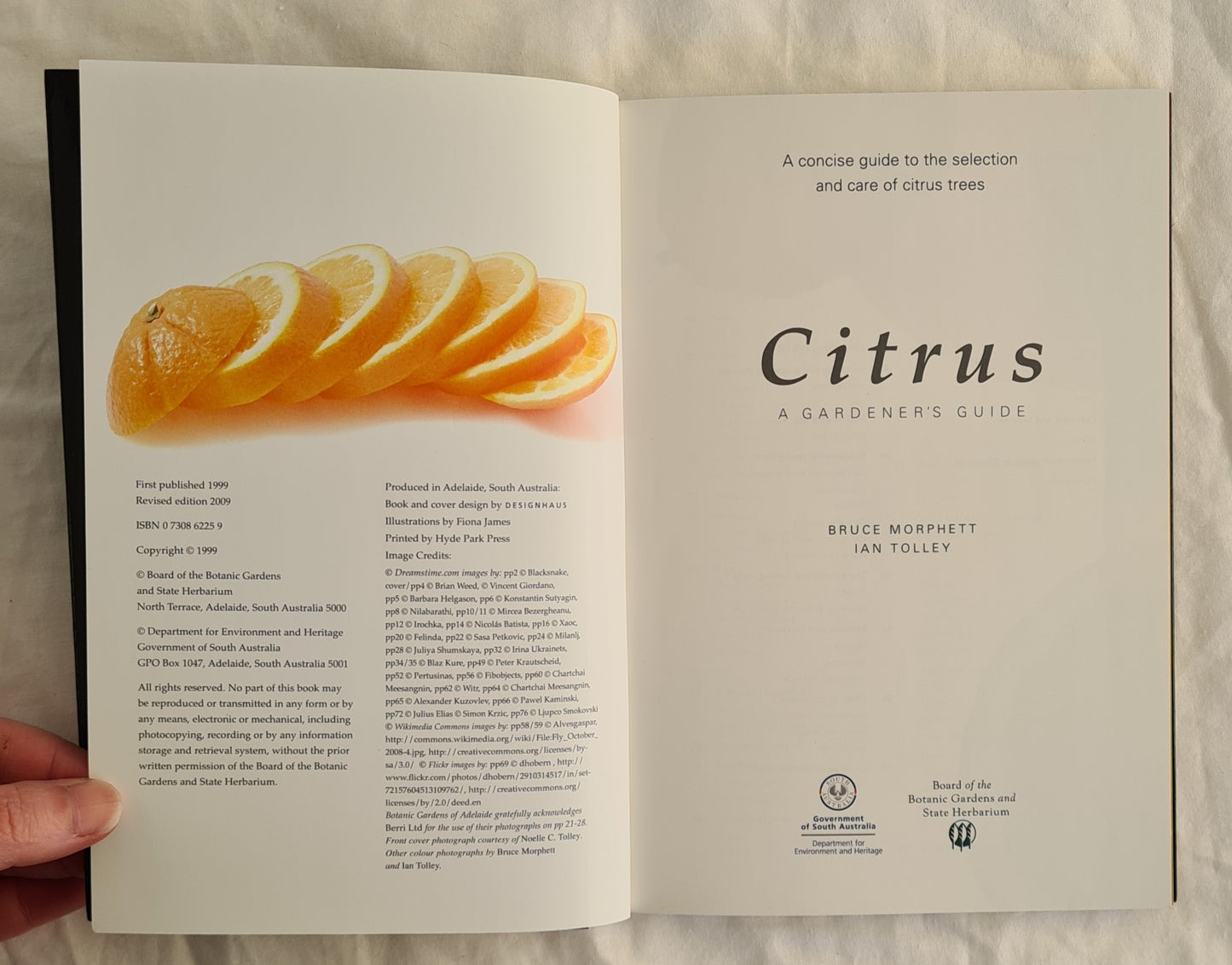 Citrus by Bruce Morphett and Ian Tolley