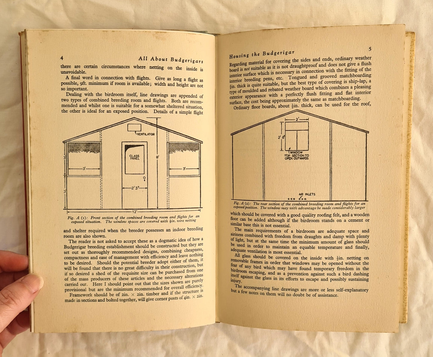 All About Budgerigars by Frank W. Pratley