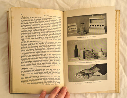 All About Budgerigars by Frank W. Pratley