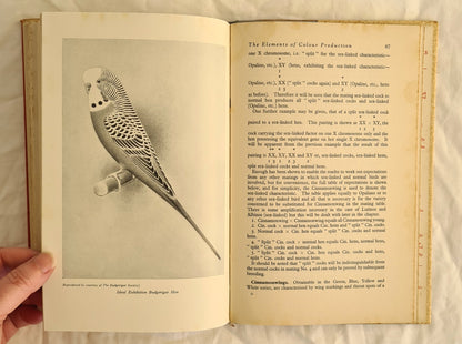 All About Budgerigars by Frank W. Pratley