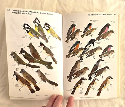 A Field Guide to the Birds of Australia by Graham Pizzey