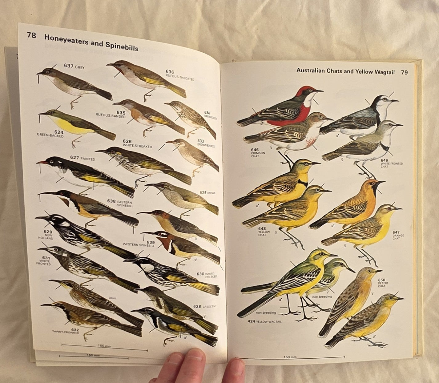 A Field Guide to the Birds of Australia by Graham Pizzey