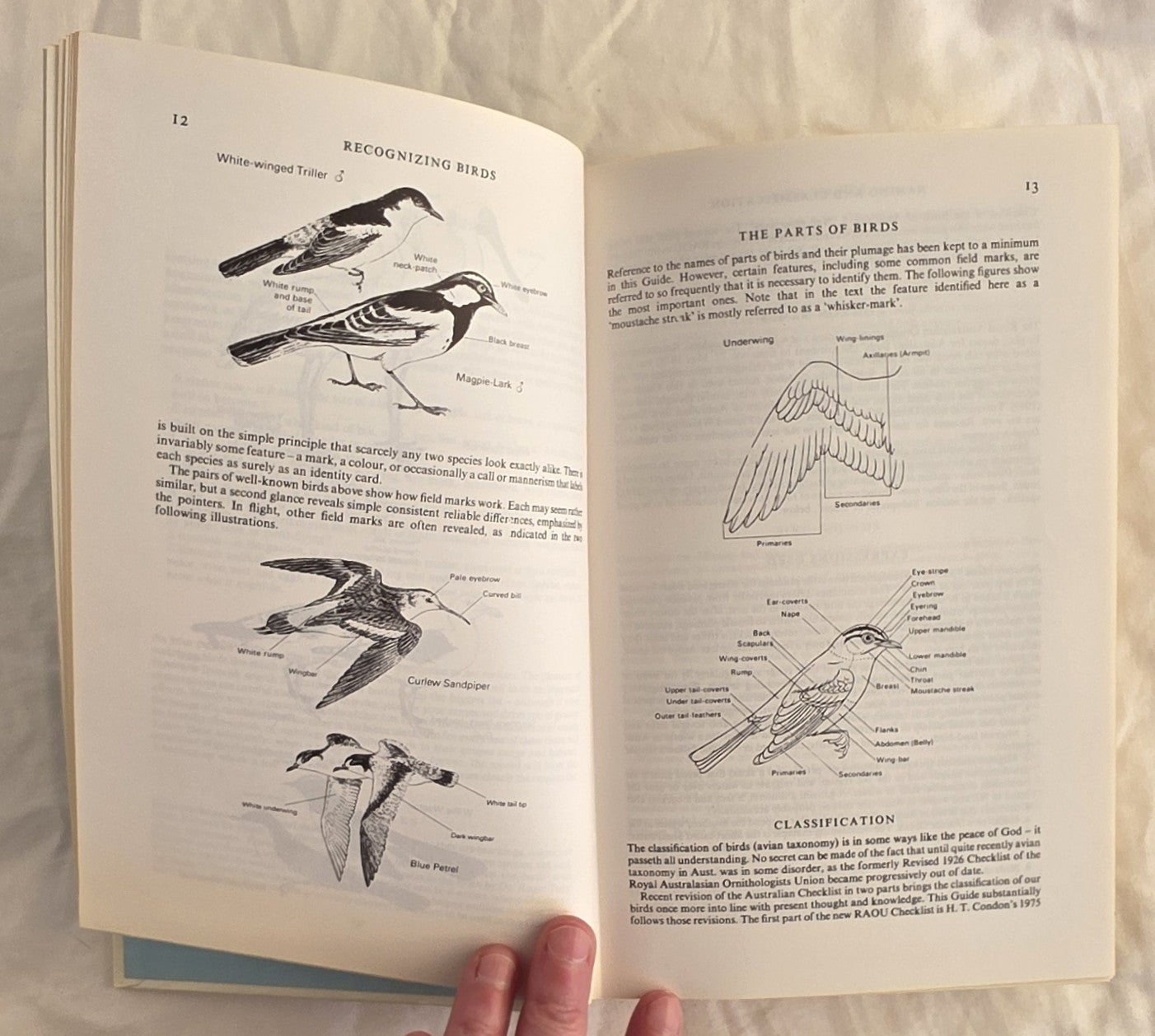 A Field Guide to the Birds of Australia by Graham Pizzey