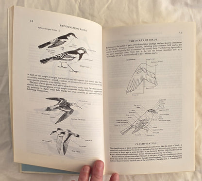 A Field Guide to the Birds of Australia by Graham Pizzey