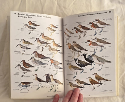 A Field Guide to the Birds of Australia by Graham Pizzey
