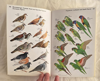A Field Guide to the Birds of Australia by Graham Pizzey