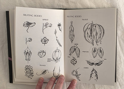 A Field Guide to Australian Wildflowers  Volumes 1 & 2 by Roland Paine and Margaret Hodgson