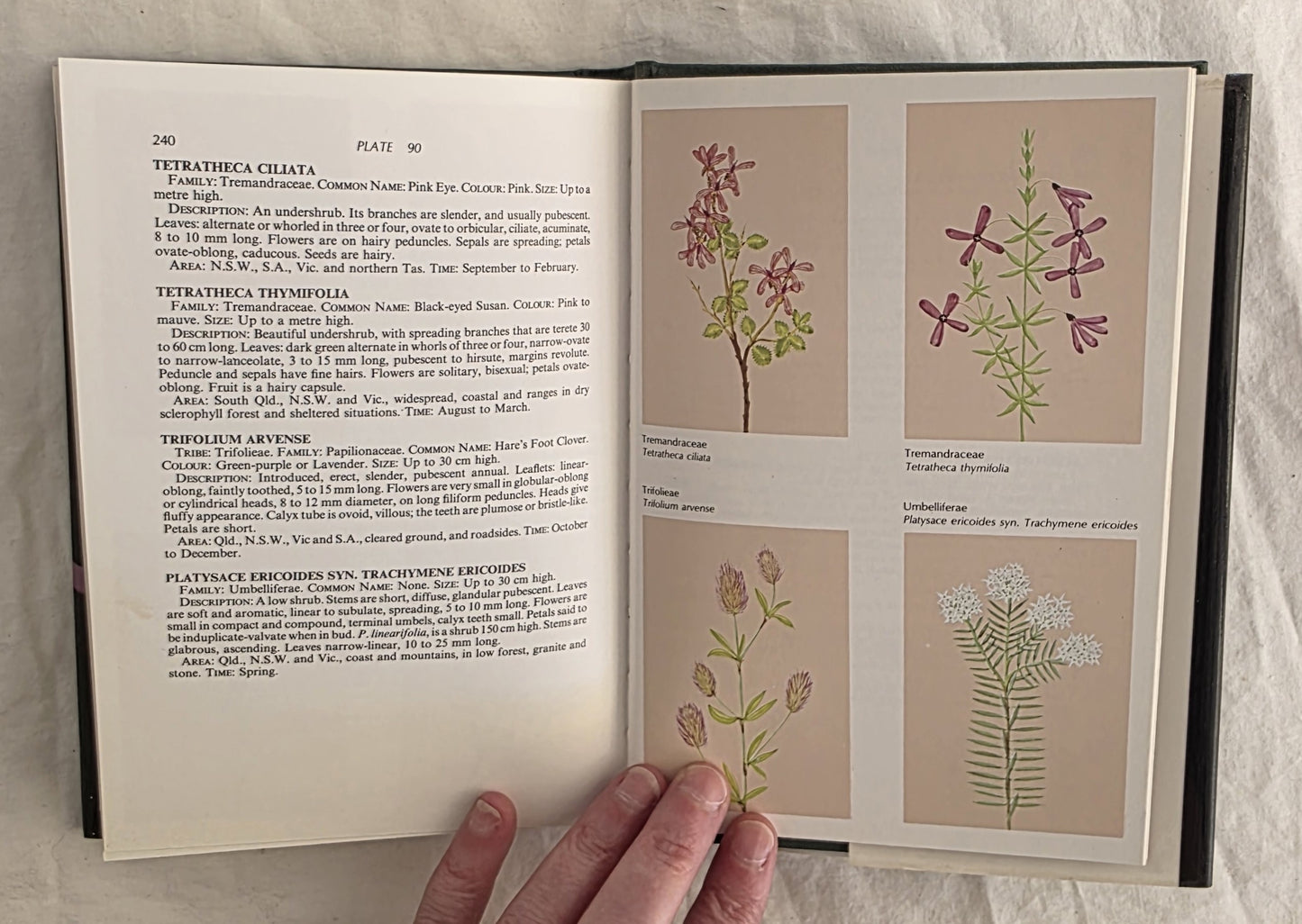 A Field Guide to Australian Wildflowers  Volumes 1 & 2 by Roland Paine and Margaret Hodgson