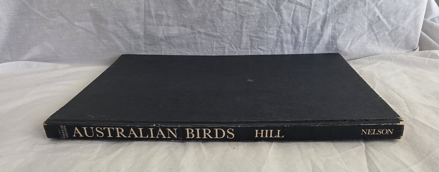 Australian Birds by Robin Hill