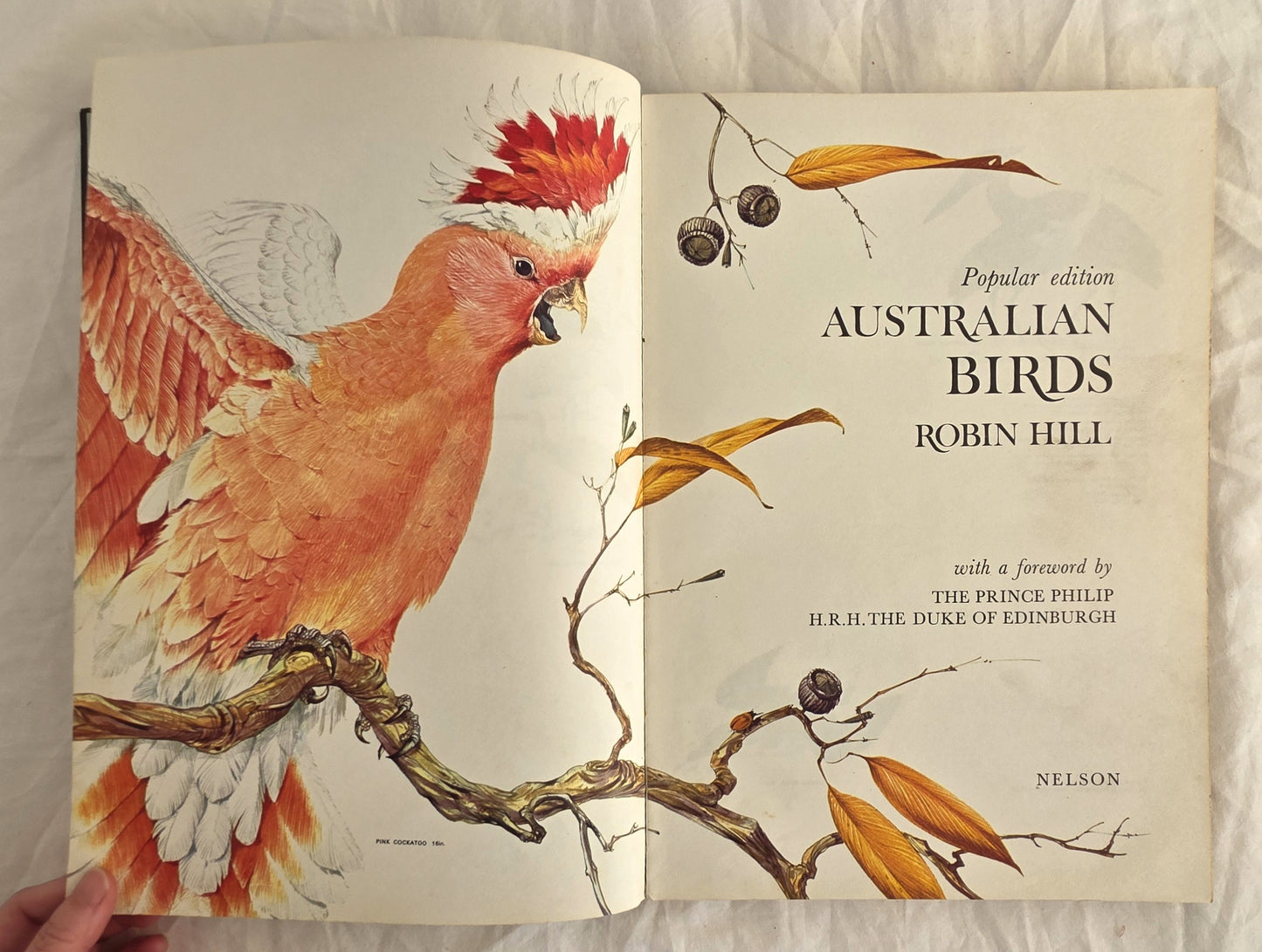 Open book showing a colorful illustration of an Australian bird on the left page and text on the right page.