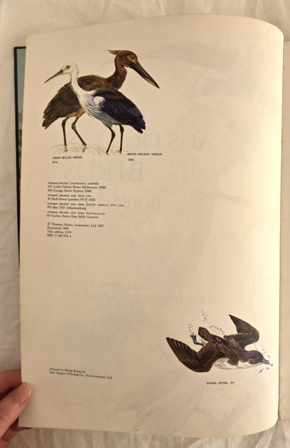 Australian Birds by Robin Hill