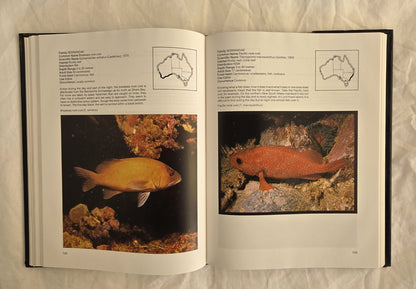 Australian Sea Fishes by Neville Coleman