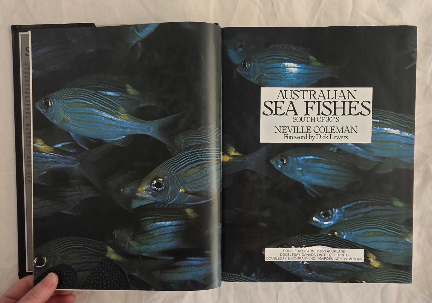 Australian Sea Fishes by Neville Coleman
