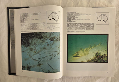 Australian Sea Fishes by Neville Coleman