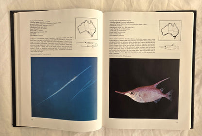 Australian Sea Fishes by Neville Coleman