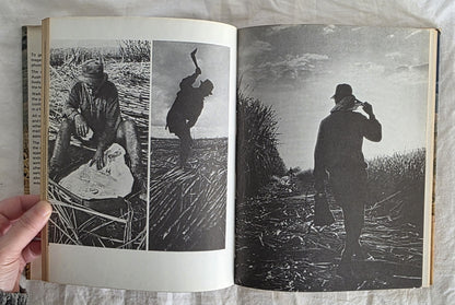 Australian Walkabout by Brian McArdle and Peter Fenton