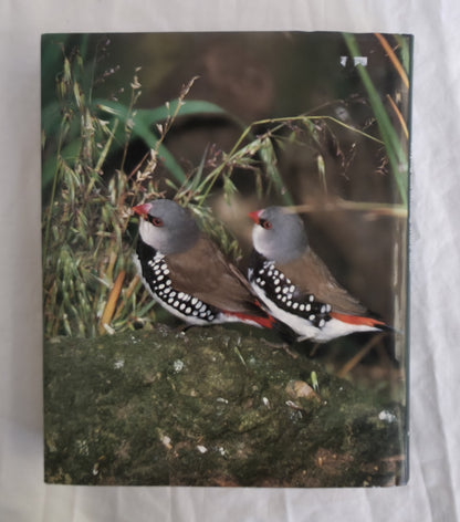 Aviculture in Australia by Mark Shephard