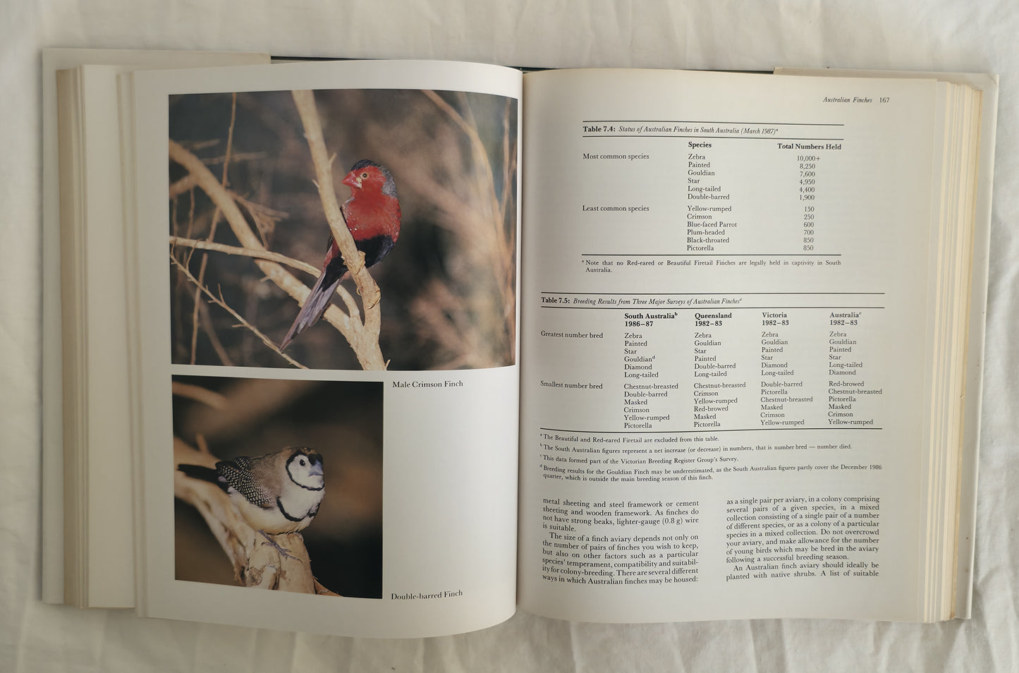 Aviculture in Australia by Mark Shephard