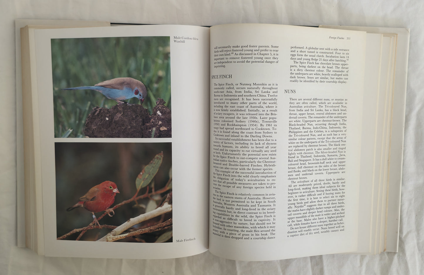 Aviculture in Australia by Mark Shephard