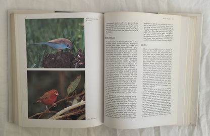 Aviculture in Australia by Mark Shephard