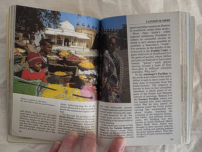 India Berlitz Country Guide