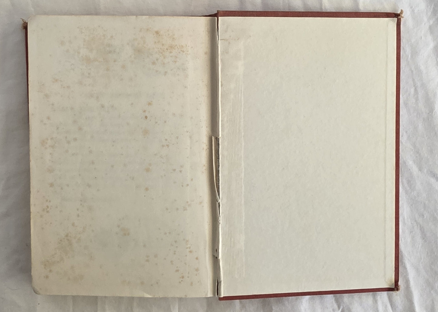 Bimbo and Topsy by Enid Blyton