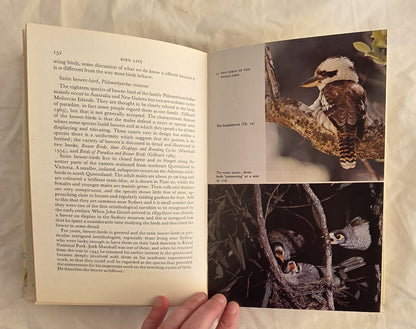 Bird Life by Ian Rowley (Collins)