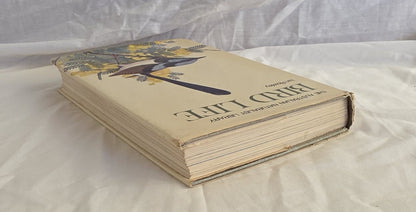 Bird Life by Ian Rowley (Collins)