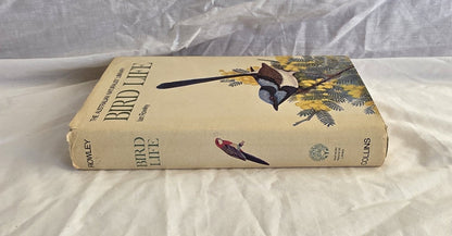 Bird Life by Ian Rowley (Collins)
