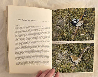 Bird Life by Ian Rowley (Collins)