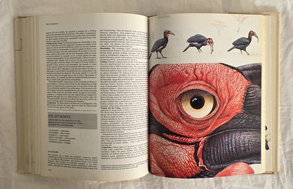 Birds Their Life Their Ways Their World Reader’s Digest