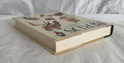 Birds Their Life Their Ways Their World Reader’s Digest