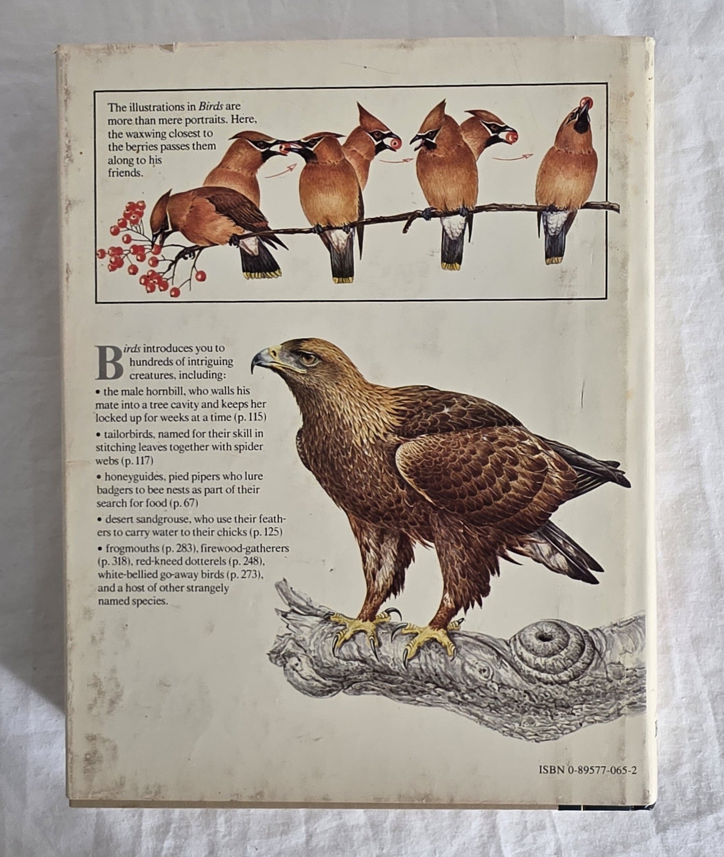 Birds Their Life Their Ways Their World Reader’s Digest