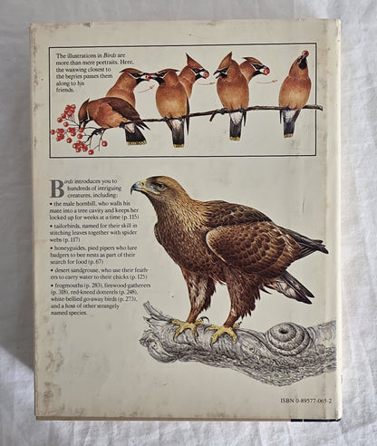 Birds Their Life Their Ways Their World Reader’s Digest