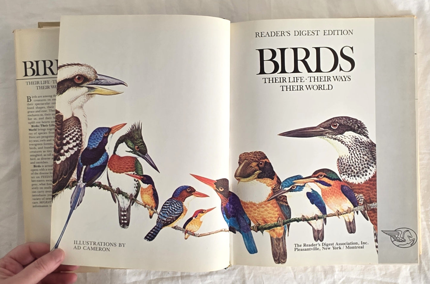 Birds Their Life Their Ways Their World Reader’s Digest