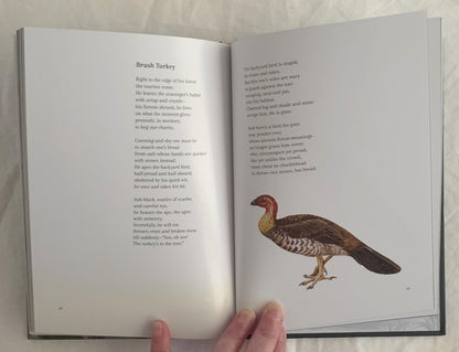Birds Poems by Judith Wright