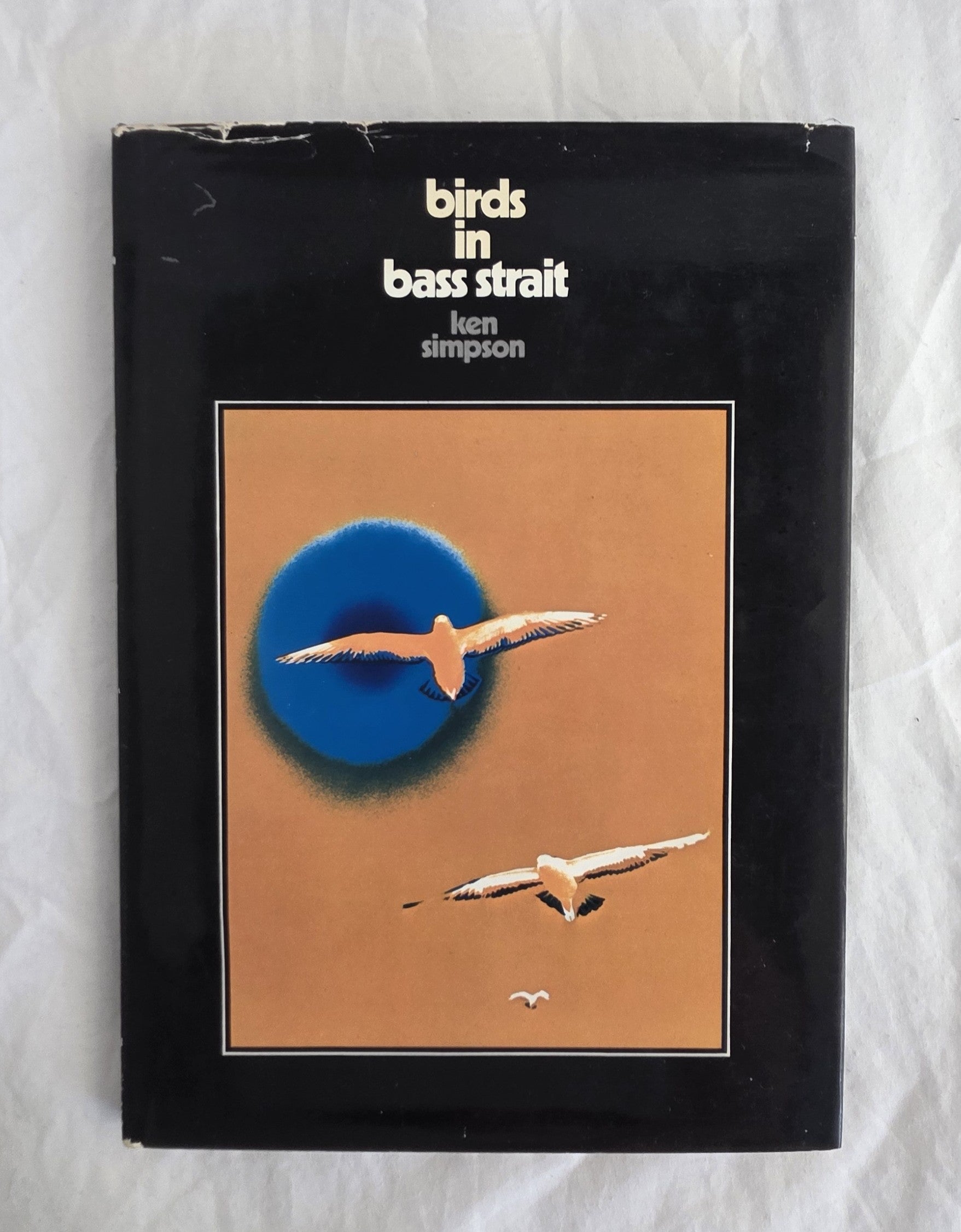 Birds in Bass Strait