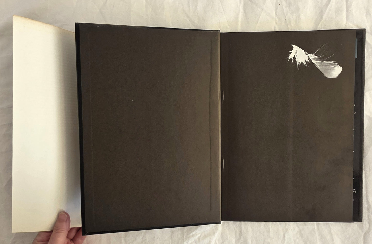 Birds in Bass Strait by Ken Simpson