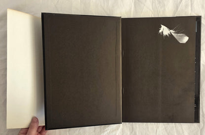 Birds in Bass Strait by Ken Simpson
